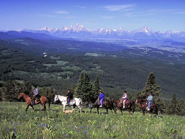 horseback-tour-dd