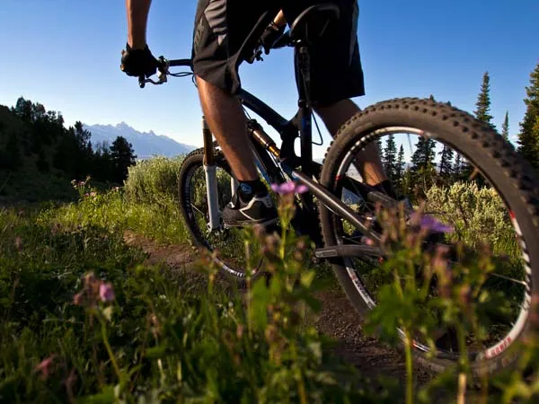 summer-mountain-biking-dd