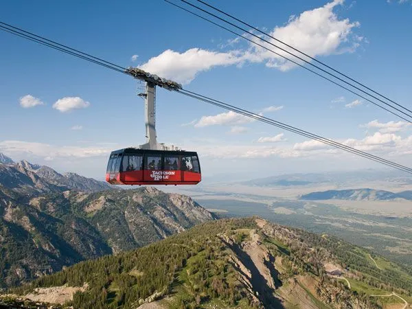 summer-tram-dd